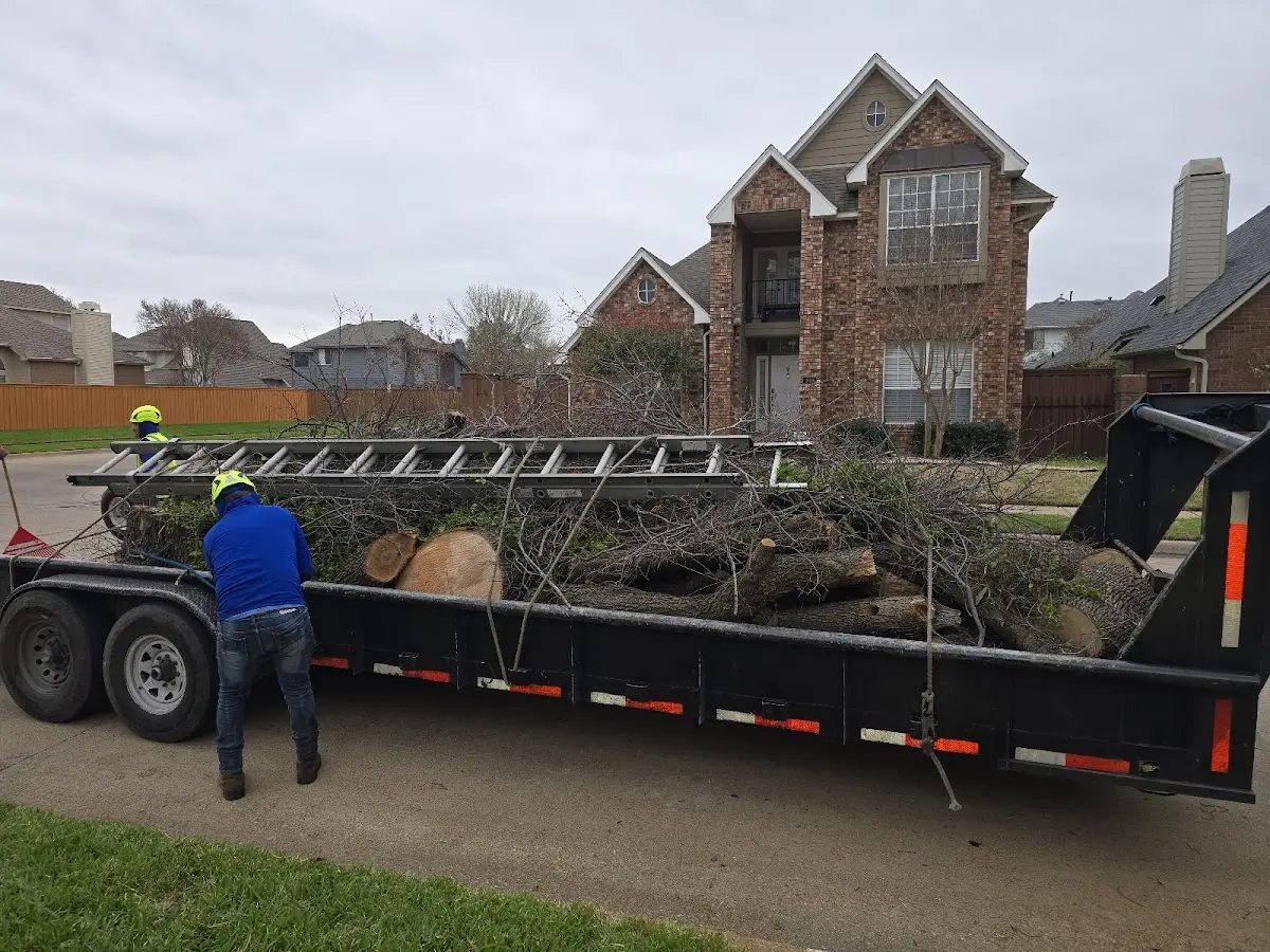 Expert Tree Removal with proper safety equipment in Hamburg
